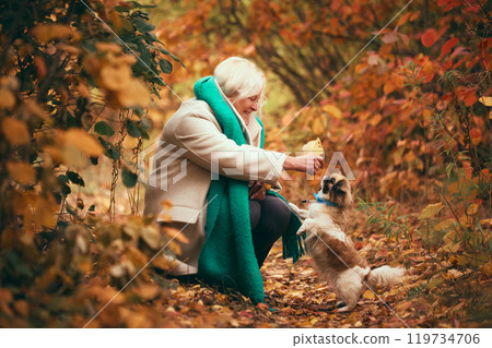 Smiling elderly woman in cozy autumn outfit with coat and scarf, walking with her dog in picturesque park, feeding and playing with pet 119734706