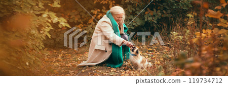 Happy elderly woman in cozy autumn outfit with coat and scarf, walking with her dog in picturesque park, feeding and playing with pet 119734712