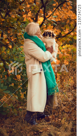 Elderly happy woman, wrapped in cozy green scarf, walking her dog on leaf-covered park path during autumn, portraying peaceful lifestyle scene. 119734725