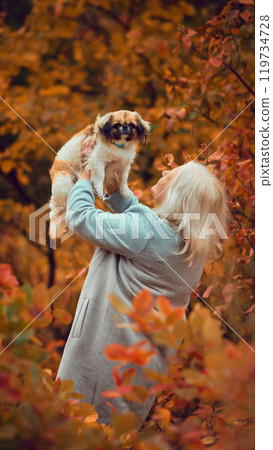 Positive elderly woman lifting her small dog with joy, surrounded by rich autumn leaves, capturing playful and affectionate moment outdoors. Positive elderly woman lifting her small dog with joy, surrounded by rich autumn leaves, capturing playful and affectionate moment outdoors. 119734728