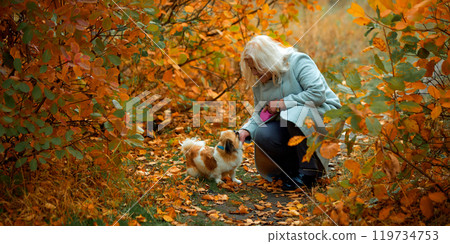 Happy elderly woman in coat walking in autumn park with her dog, kneeling to interact with pet. Moment of care and companionship 119734753