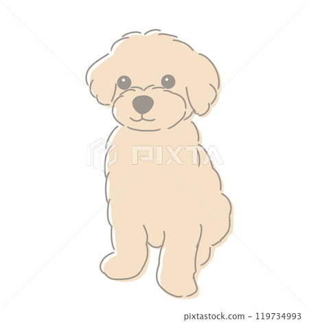 玩具貴賓犬坐著的插圖 119734993