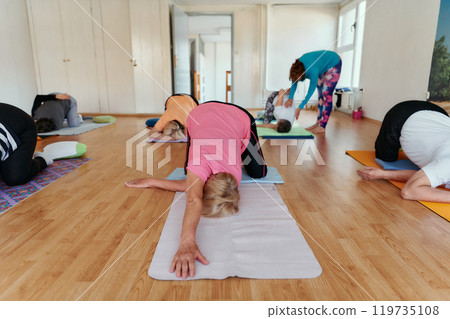 Senior Women Embrace Wellness: Yoga and Stretching in a Sunlit Space 119735108