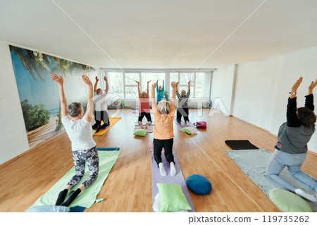 Senior Women Embrace Wellness: Yoga and Stretching in a Sunlit Space 119735262