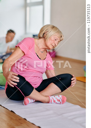 Senior Women Embrace Wellness: Yoga and Stretching in a Sunlit Space 119735313