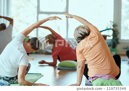Senior Women Embrace Wellness: Yoga and Stretching in a Sunlit Space 119735349