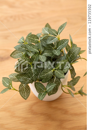 Fake green houseplants on a wood grain background 119735502