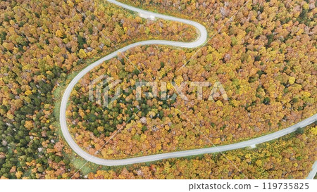Aerial view of autumn leaves in Yamagata Zao Aerial view of autumn leaves in Yamagata Zao 119735825