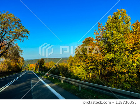 Asphalt road in the autumn forest with colourful trees and blue sky. View from the car. 119736353