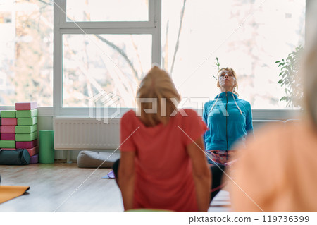 Senior Women Embrace Wellness: Yoga and Stretching in a Sunlit Space 119736399