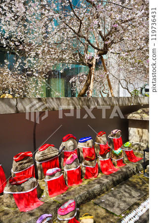 京都紫雲山長法寺六角堂地藏像、垂枝櫻花、鴿子福（京都市中京區） 119736431