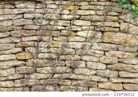 園藝用磚和常春藤建模[背景材料] 119736512