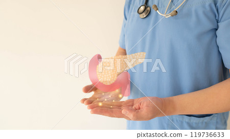 Pancreas organ anatomy on doctor hands. Awareness of pancreatitis and pancreatic cancer concept. 119736633