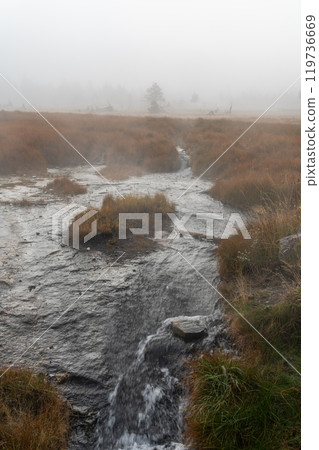 A steamy running hot spring on a foggy morning near Grand Prismatic Spring. 119736669