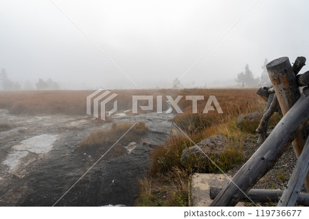 A steamy running hot spring on a foggy morning near Grand Prismatic Spring. 119736677