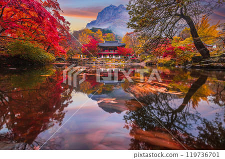 Colorful autumn with beautiful maple leaf in sunset at Baekyangsa temple in Naejangsan national park, South Korea. 119736701