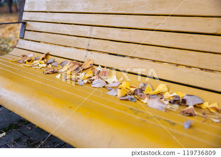 枯葉落在黃色長椅上 枯葉落在黃色長椅上 119736809