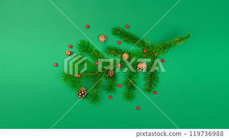 Tree branch with cones and mountain ash. New Year and Christmas content green background isolated Tree branch with cones and mountain ash. New Year and Christmas content green background isolated 119736988