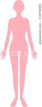 Woman's full body silhouette 119736991