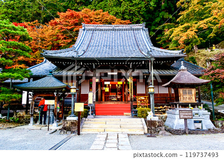[Gifu] Gero Onsen in autumn: The main hall of Onsenji Temple and visitors 119737493