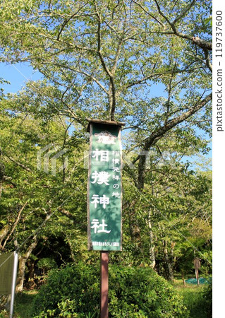 相撲神社 相撲神社 119737600