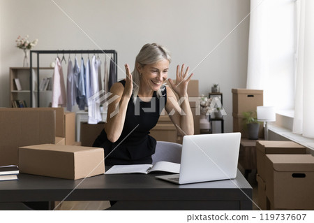 Amazed mature woman ecommerce owner look on laptop screen Amazed mature woman ecommerce owner look on laptop screen 119737607