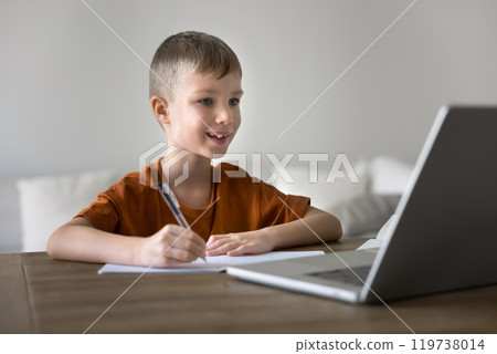 Positive pretty schoolkid boy watching online class 119738014