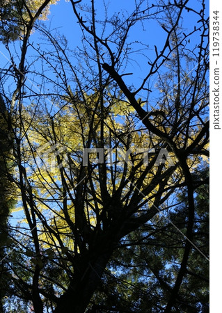 Hiroshima Buttsuji Temple Hiroshima Buttsuji Temple 119738344