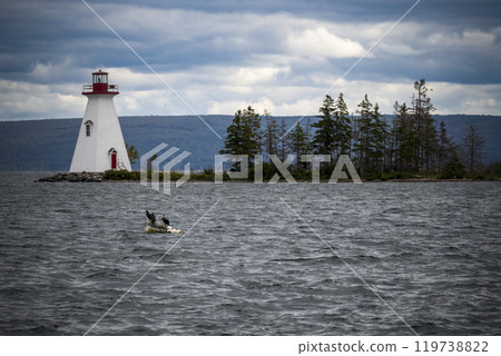 Cormorants on the water in front of lighthouse on the Cabot Trail 119738822