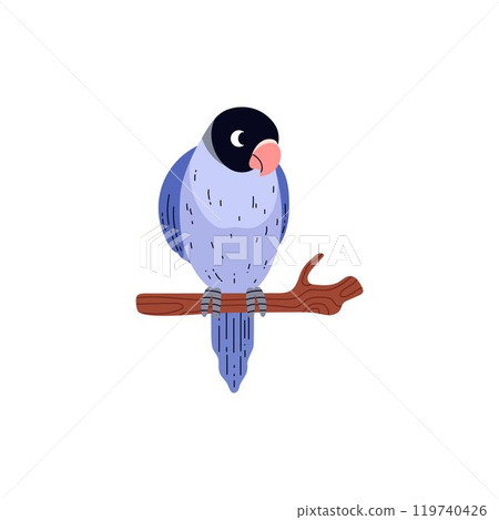 Vector illustration of a lovebird parrot sitting on a tree branch on a white background. 119740426