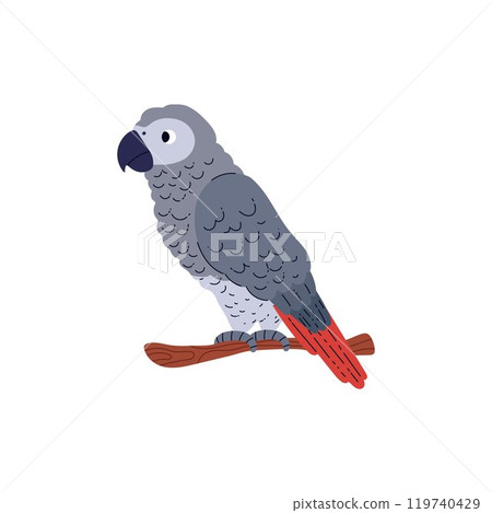 Vector illustration with a tropical grey parrot sitting on a branch on a white background. Vector illustration with a tropical grey parrot sitting on a branch on a white background. 119740429