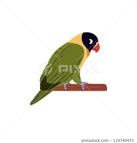 Cartoon Agapornis bird sits on the twig, vector exotic pet black masked Lovebird with green plumage, domestic parrot 119740433