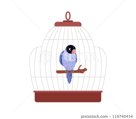 Vector illustration of blue agapornis parrot sitting on a perch in a cage. Vector illustration of blue agapornis parrot sitting on a perch in a cage. 119740434