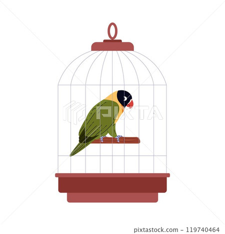 Vector illustration of a lovebird parrot in a cage, isolated on a white background Vector illustration of a lovebird parrot in a cage, isolated on a white background 119740464
