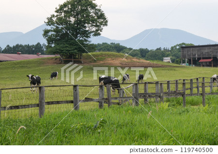 岩手縣小岩井農場的田園風光 充滿宮澤賢治喜愛的歐洲風格的小岩井農場 119740500