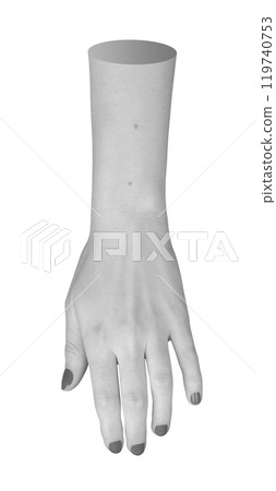 Isolated female hand, slightly bent with painted nails in elegant monochrome. Grayscale body part, Isolated female hand, slightly bent with painted nails in elegant monochrome. Grayscale body part, 119740753