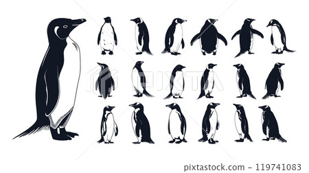North arctic penguins black ink sketch vector set. adelie emperor gentoo waterfowl breeds ocean marine bird sea hunters swimmers, isolated illustrations on white background 119741083