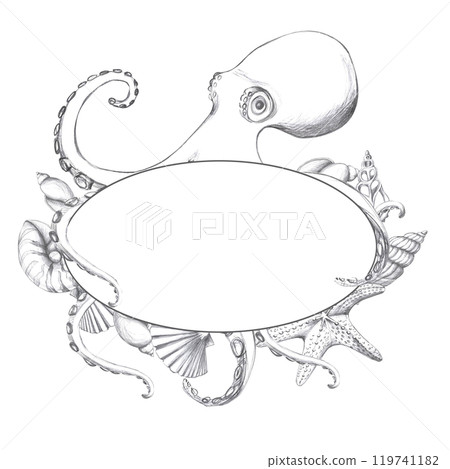 Octopus with shells in oval frame, hand drawn pencil sketch. Isolated illustration in realistic style for fish restaurant design, menu, textile, printed matter Octopus with shells in oval frame, hand drawn pencil sketch. Isolated illustration in realistic style for fish restaurant design, menu, textile, printed matter 119741182