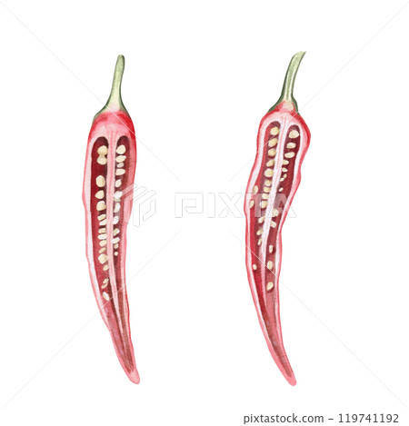 Red pepper cut with seeds. Isolated watercolor illustration for spice packaging design, cookbook, fabric printing, restaurant print design, tableware and kitchenware Red pepper cut with seeds. Isolated watercolor illustration for spice packaging design, cookbook, fabric printing, restaurant print design, tableware and kitchenware 119741192