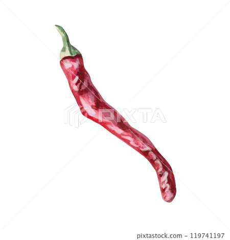Red chili pepper pod, side view. Isolated watercolor illustration for spice packaging design, cookbook, fabric printing, restaurant print design, tableware and kitchenware. 119741197