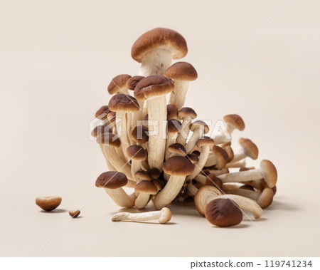 Fresh raw brown poplar mushrooms or velvet pioppini mushrooms on beige closeup 119741234
