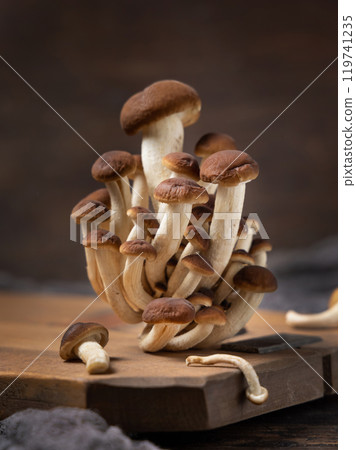 Fresh raw brown poplar mushrooms or velvet pioppini mushrooms on dark wood closeup Fresh raw brown poplar mushrooms or velvet pioppini mushrooms on dark wood closeup 119741235