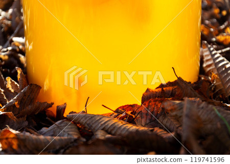 Kombucha natural fermented tea in glass jar, healthy drink of Asian origin 119741596