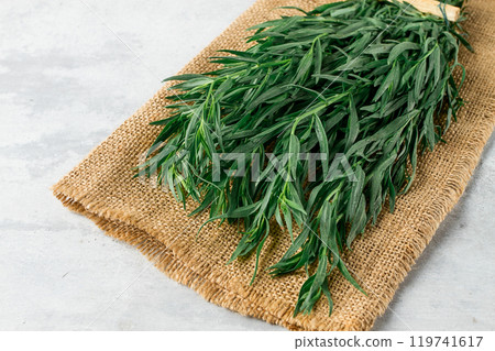 Fresh Tarragon , bunch, top view, close-up, no people, Fresh Tarragon , bunch, top view, close-up, no people, 119741617