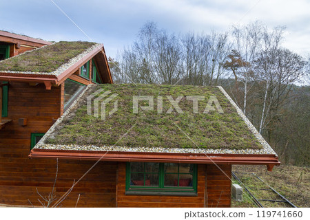 Green ecological sod roof on wooden building covered with vegetation Green ecological sod roof on wooden building covered with vegetation 119741660