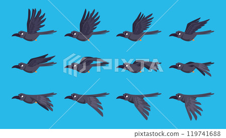 Bird sequence. Crow flying keyframe animation exact vector game assets collection templates 119741688