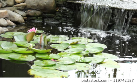 A quiet seasonal moment in the middle of nature. A waterfall cascading down rocky terrain with water lilies drifting over the water and foam forming at the base. A quiet seasonal moment in the middle of nature. A waterfall cascading down rocky terrain with water lilies drifting over the water and foam forming at the base. 119742187
