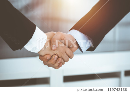 Businessman and woman shaking hands in sunny office, close-up. Concept of handshake as success symbol in business Businessman and woman shaking hands in sunny office, close-up. Concept of handshake as success symbol in business 119742188