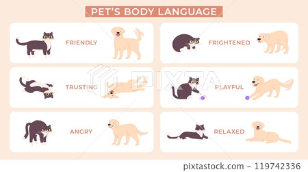 Animal language. Dog and cat body expression poses. Pets in various emotional pose for educational poster. Animals emotions racy vector banner Animal language. Dog and cat body expression poses. Pets in various emotional pose for educational poster. Animals emotions racy vector banner 119742336