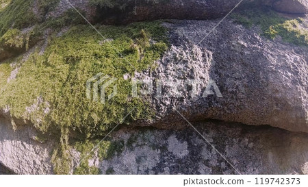 A large granite stone in open nature is covered with green moss. An emerald-green covering of moss is a sure sign of acidic soils. A large granite stone in open nature is covered with green moss. An emerald-green covering of moss is a sure sign of acidic soils. 119742373
